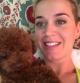 Katy Perry y su perro Nugget