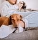 Cute Dachshund Dog Sleeping By Feet Of his Female Owner in Living Room