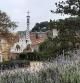 Vistas, tras la lavanda, del Park Güell.