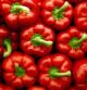Pimiento rojo