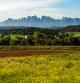 Paisaje de primavera y Montserrat.