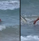 Una madre graba el angustioso momento en el que su hija de 6 años se encuentra con un tiburón