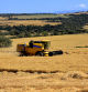 Una cosechadora trabajando el campo.