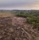 Zona deforestada en la selva amazónica en Brasil para el cultivo de soja o la producción de carne de res.