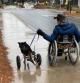 La bonita historia entre en un perro y su dueño, ambos en silla de ruedas, que ha enamorado a las redes