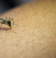 Pocas visitas son tan indeseadas como la de los mosquitos