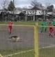 Un perro irrumpe en un partido de fútbol y consigue marcar un golazo