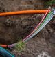 España tiene la mejor fibra óptica de Europa