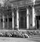 Rebaño de ovejas pastoreando frente al Teatro Victoria en el año 1919.