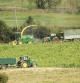 Cosecha de forrajes en los campos de Manlleu.