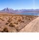 Lagunas Altiplanicas, Miscanti y Miniques, en el desierto de Atacama Desert. Chile  .