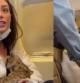 Esta es la verdadera historia detrás del vídeo viral de la pasajera de avión amamantando a un gato