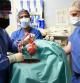 El éxito en el trasplante de un corazón de cerdo a una persona abre nuevas vías de supervivencia