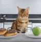 Un gato frente a unos donuts y una manzana