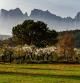 Paisaje primaveral en Manresa con Montserrat de telón de fondo.