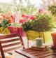 Unas plantas lucen en una terraza