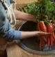 Mujer limpiando zanahorias