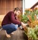 Hombre cuidando sus plantas