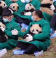 Un hombre enternece a las redes con su tarea como cuidador de osos panda
