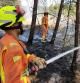 La Guardia Civil detiene a dos sospechosos de provocar incendios en Valencia