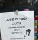 Ofrece a sus vecinos de Valladolid unas peculiares clases de yoga para que recojan las heces de sus perros
