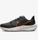 Nike Pegasus 39