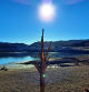 Paisaje de sequía en el embalse de Sau.