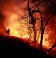 A Galician firefighter tackles flames in a forest during an outbreak of wildfires following a prolonged period of drought and unusually high temperatures, in Piedrafita, Asturias, Spain, March 31, 2023. REUTERS/Vincent West