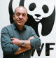 Presidente del WWF Juan Carlos del Olmo