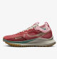 Nike Pegasus Trail 4 GORE-TEX
