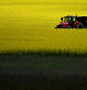 A tractor drives along a road between fields of blooming rapeseed plants, near the small Bavarian village of Unterbrunn, southern Germany, on May 15, 2023. (Photo by Christof STACHE / AFP)