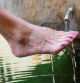 Refrescándose en la fuente del Ángel del claustro del monasterio de Pedralbes de Barcelona.