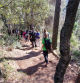 Los participantes en el estudio, durante una de las actividades en el parque natural de Sant Llorenç del Munt i l’Obac