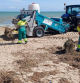 El servicio de limpieza de Elx ha trabajado hoy a fondo en palyas como Arenales del Sol, El Carabassí o El Pinet.
