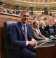 Pedro Sánchez en el Congreso