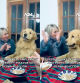 La tierna reacción de un golden retriever a la fiesta de cumpleaños que le hace su familia