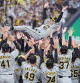 Los jugadores del Hanshin Tigers mantean a Akinobu Okada, mánager del equipo