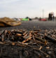 Ammunition lies on a road following a deadly mass-infiltration by gunmen from the Palestinian Islamist group Hamas in the Gaza Strip, in the Sderot area of southern Israel October 7, 2023. REUTERS/Ammar Awad