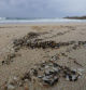 Preocupación por la marea de microplásticos que inundan las playas gallegas