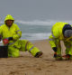 RIBEIRA (A CORUÑA), 09/01/2024.- Operarios de empresas contratadas por la Xunta retiran los pellets o bolitas para fabricar plástico que aparecen en las playas gallegas y de Asturias, tras la caída de un contenedor de un barco el pasado diciembre, esta mañana en la playa de O Vilar, en el parque natural de Corrubedo, A Coruña. EFE/Lavandeira jr