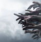 Zombie hands