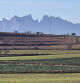 Campos luchando por ganar verde en plena sequía en el Bages. Imágenes de Carme Molist Vidal