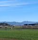 Campos verdes y Montseny nevado desde Sant Fost. Imágenes de Lina Aguasca