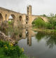 Reflejos primaverales en el puente de Besalú. Imágenes de Carme Molist Vidal