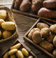 Raw potatoes varied of different shapes and colors on rustic wood after harvest
