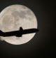 El avión con la Luna Rosa.