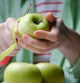 Human hands are peeling a green apple