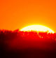 Vista de un paisaje anaranjado por el sol.