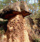 Seta gigante de piedra de la Riera de Merola.
