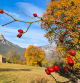 Otoño con vistas al Pedraforca.